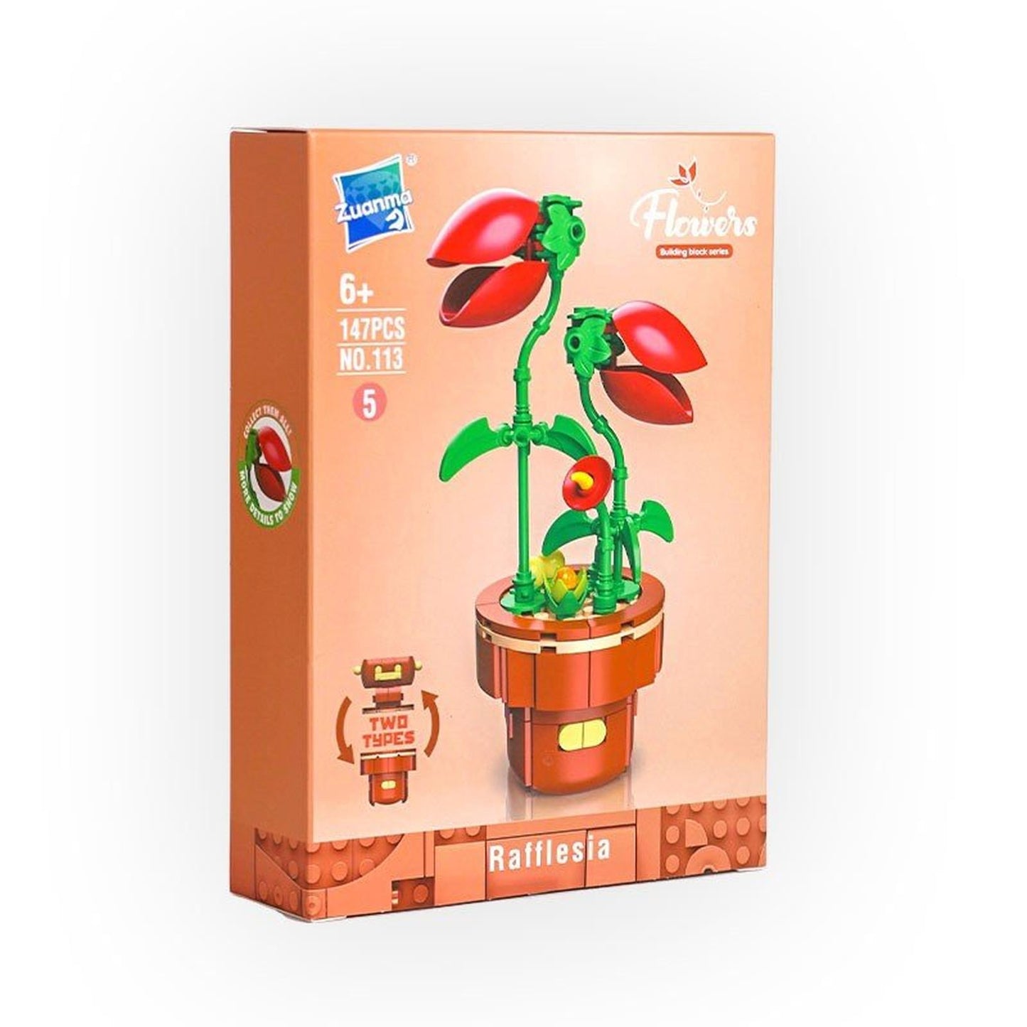 Building Block Flower - Age 6+ - Zuanma - Librairie Oxford City