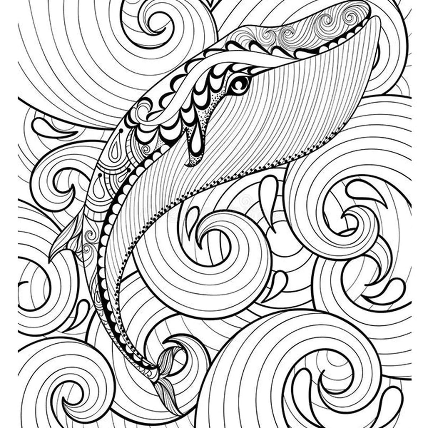 Livre de Coloriage Mandala – Animaux & Motifs Apaisants - Librairie Oxford City