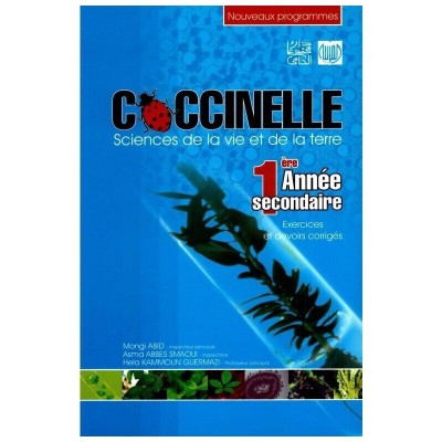 COCCINELLE 1ére année