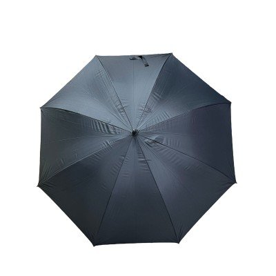 Parapluie adulte grand modèle