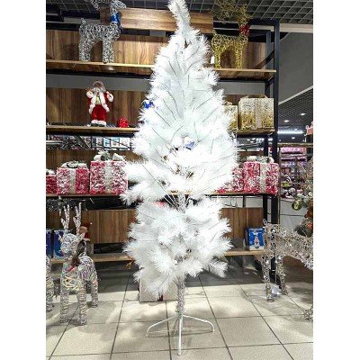 Sapin blanc 150cm