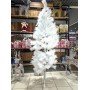 Sapin blanc 150cm