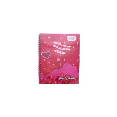 Cahier Cool school- 300 pages-Heart