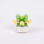 Roses en Briques – Série Flowers Building Block - Librairie Oxford City