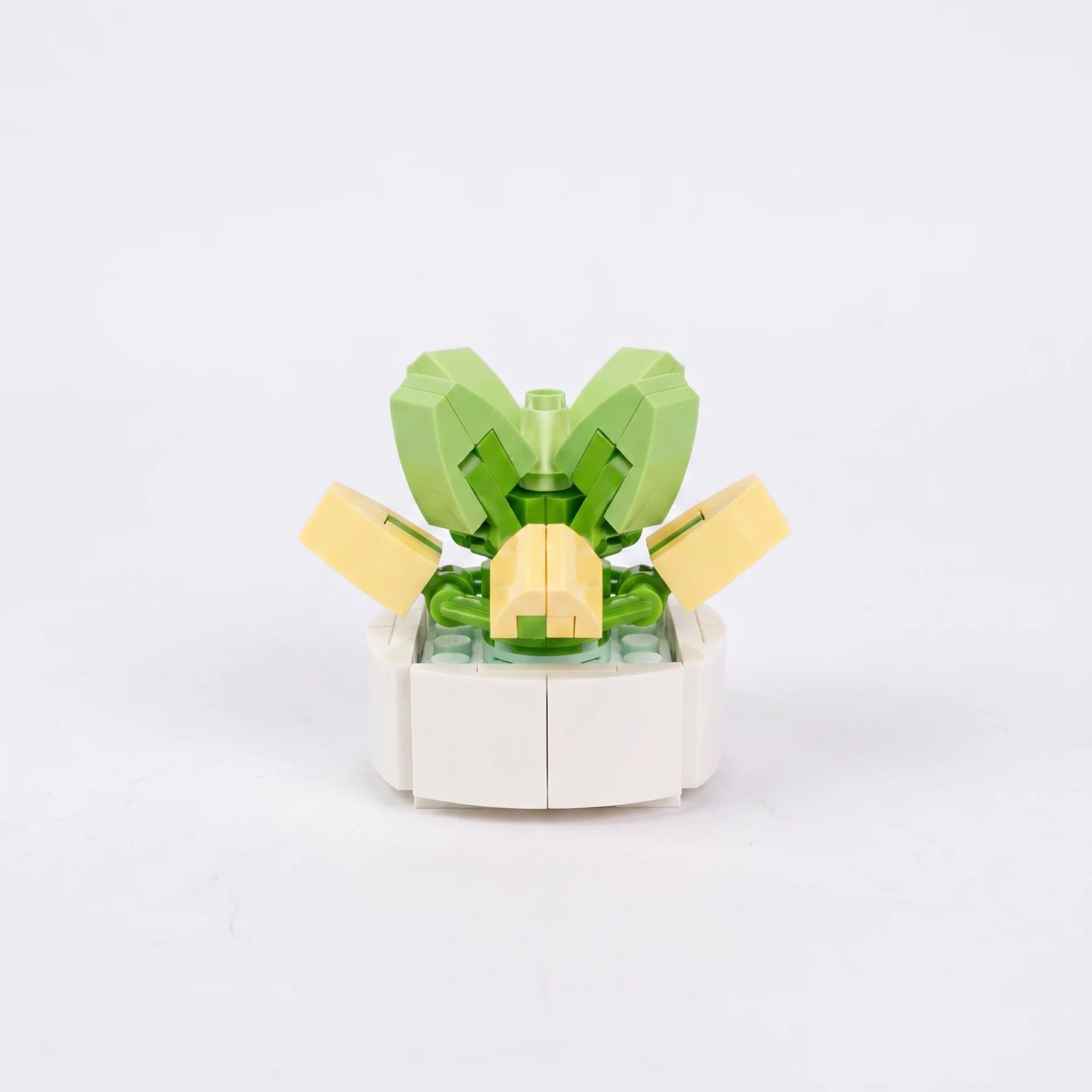 Roses en Briques – Série Flowers Building Block - Librairie Oxford City
