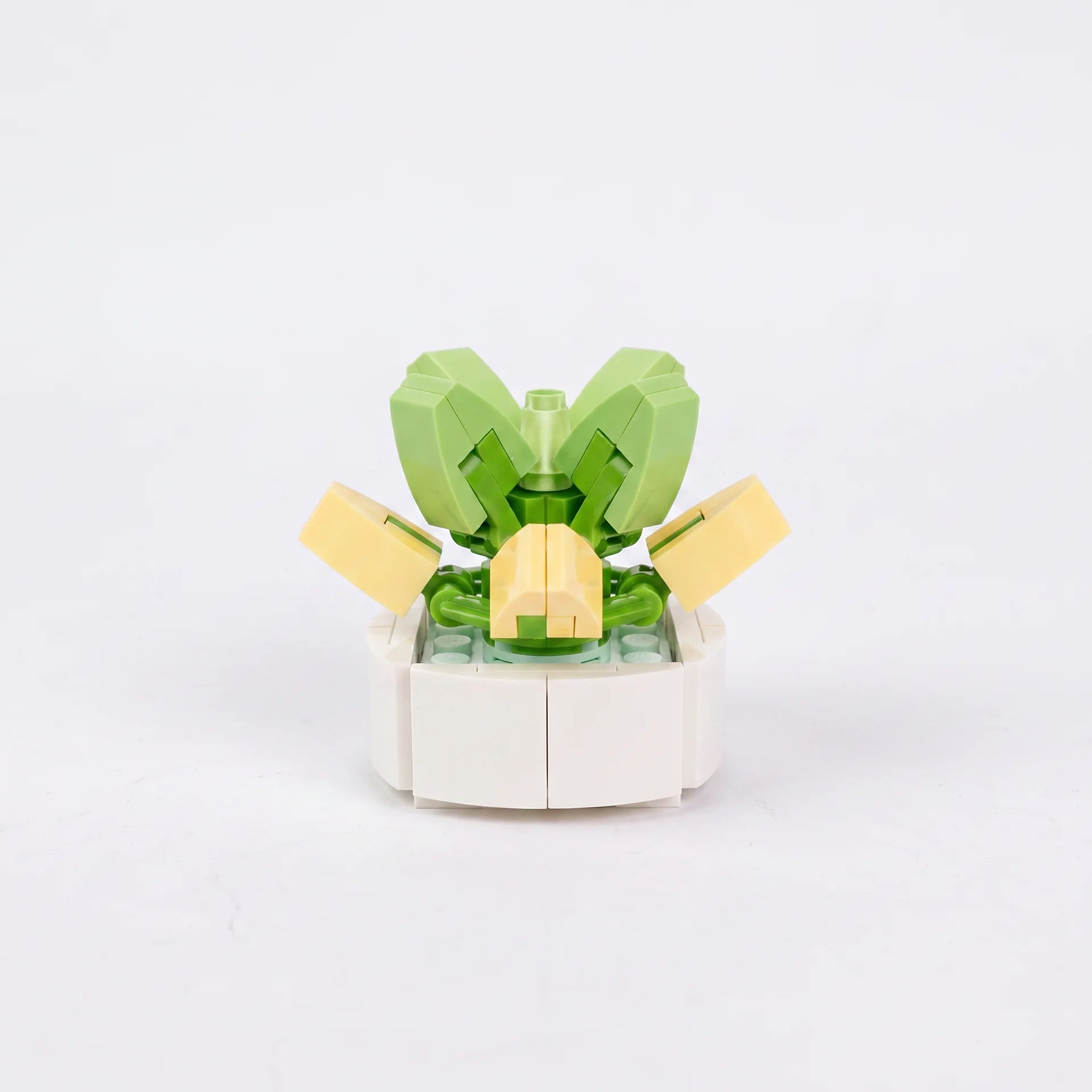 Roses en Briques – Série Flowers Building Block - Librairie Oxford City