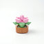 Roses en Briques – Série Flowers Building Block - Librairie Oxford City