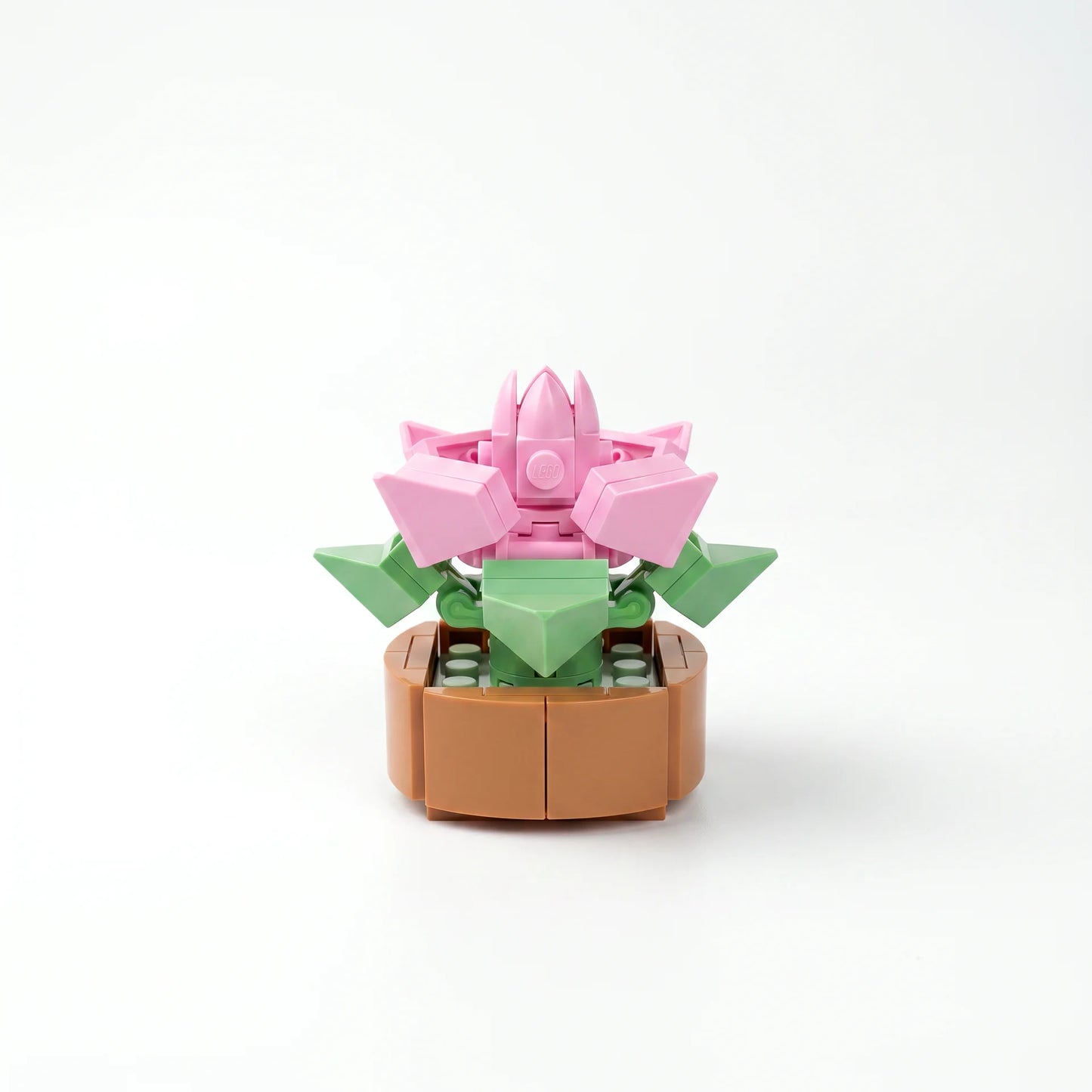 Roses en Briques – Série Flowers Building Block - Librairie Oxford City