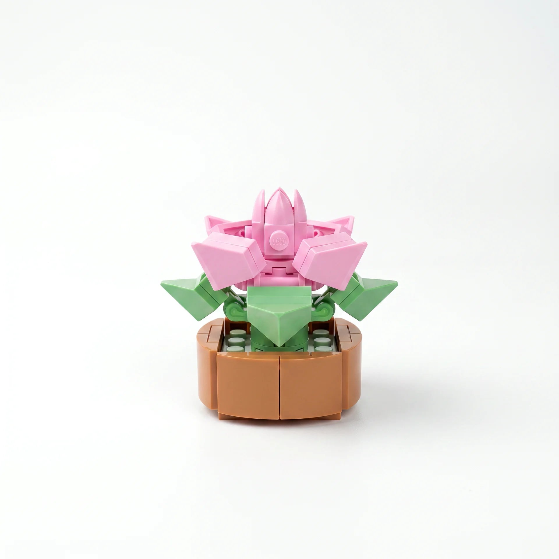 Roses en Briques – Série Flowers Building Block - Librairie Oxford City