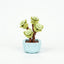 Roses en Briques – Série Flowers Building Block - Librairie Oxford City