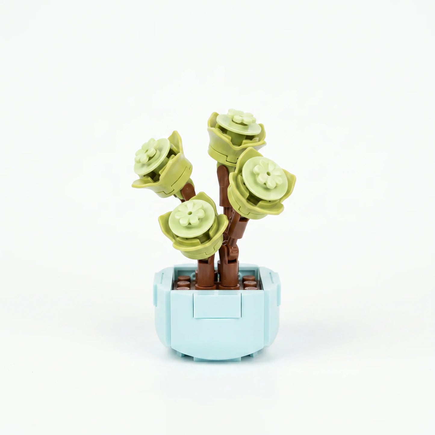 Roses en Briques – Série Flowers Building Block - Librairie Oxford City
