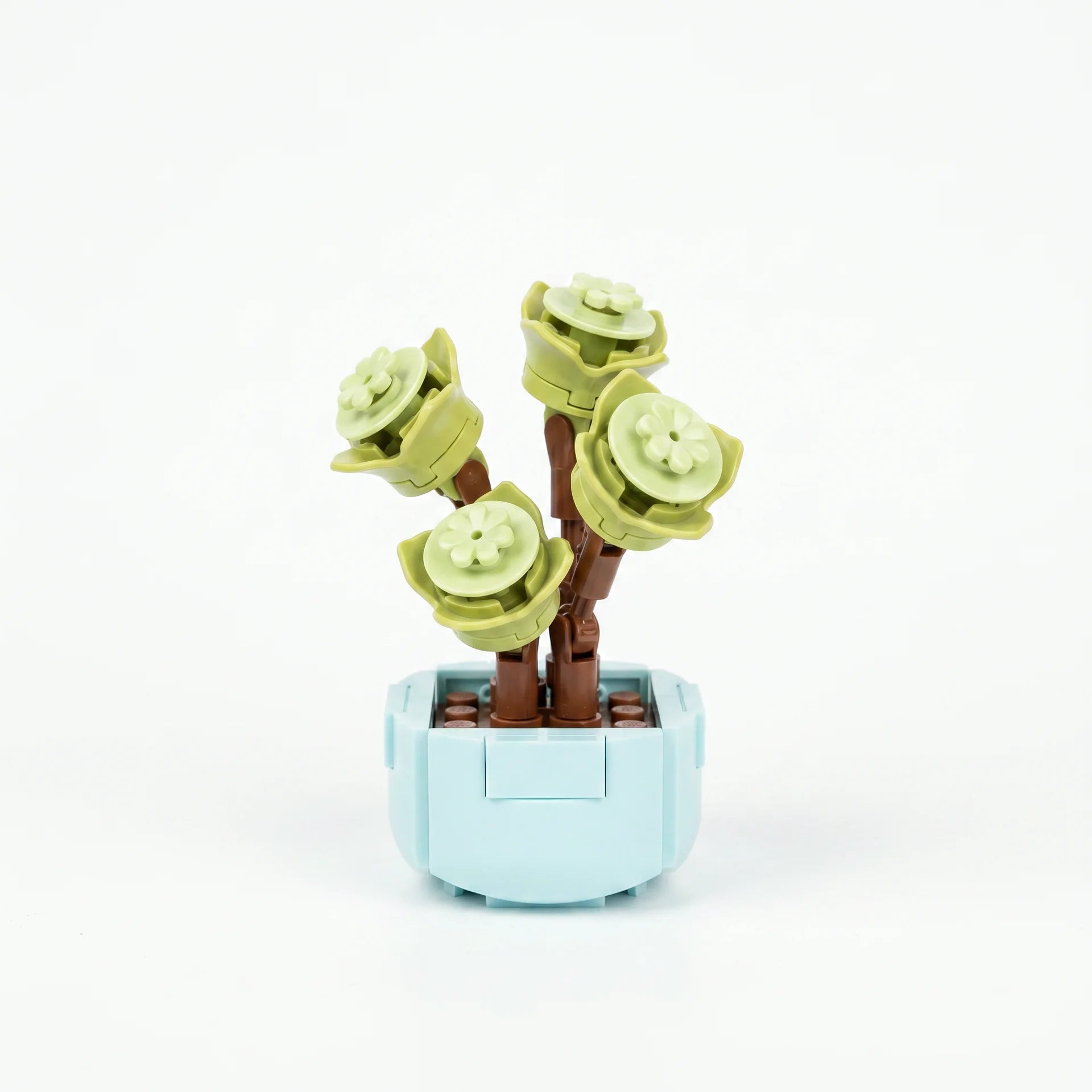 Roses en Briques – Série Flowers Building Block - Librairie Oxford City