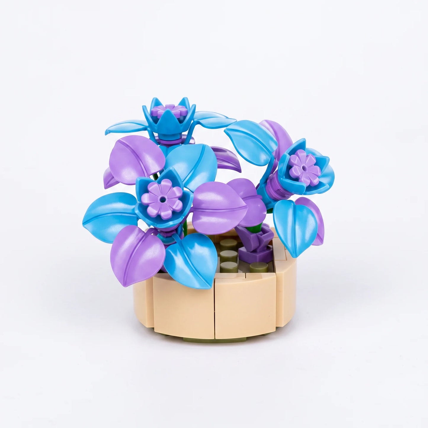 Roses en Briques – Série Flowers Building Block - Librairie Oxford City