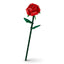 Sembo Block Florist – Collection Fleurs sur Tige - Librairie Oxford City