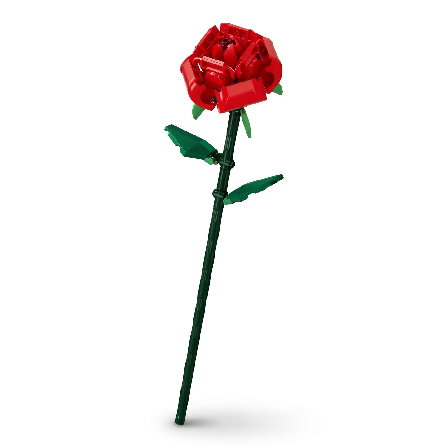 Sembo Block Florist – Collection Fleurs sur Tige - Librairie Oxford City