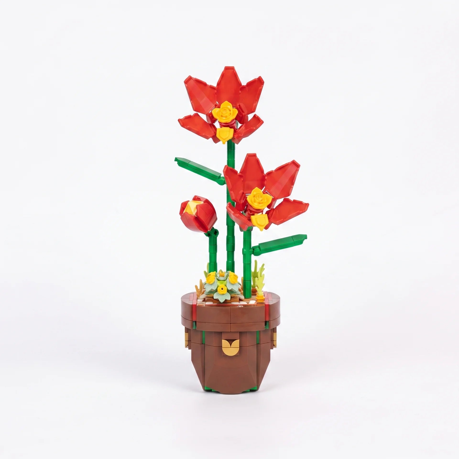 Zuanma Flowers – Botanical Collection - Librairie Oxford City