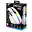 Souris PRO - M5 ARTIC RGB - Librairie Oxford City