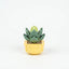 Roses en Briques – Série Flowers Building Block - Librairie Oxford City