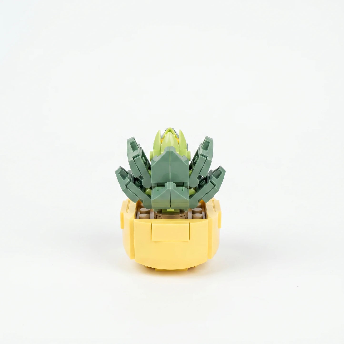 Roses en Briques – Série Flowers Building Block - Librairie Oxford City