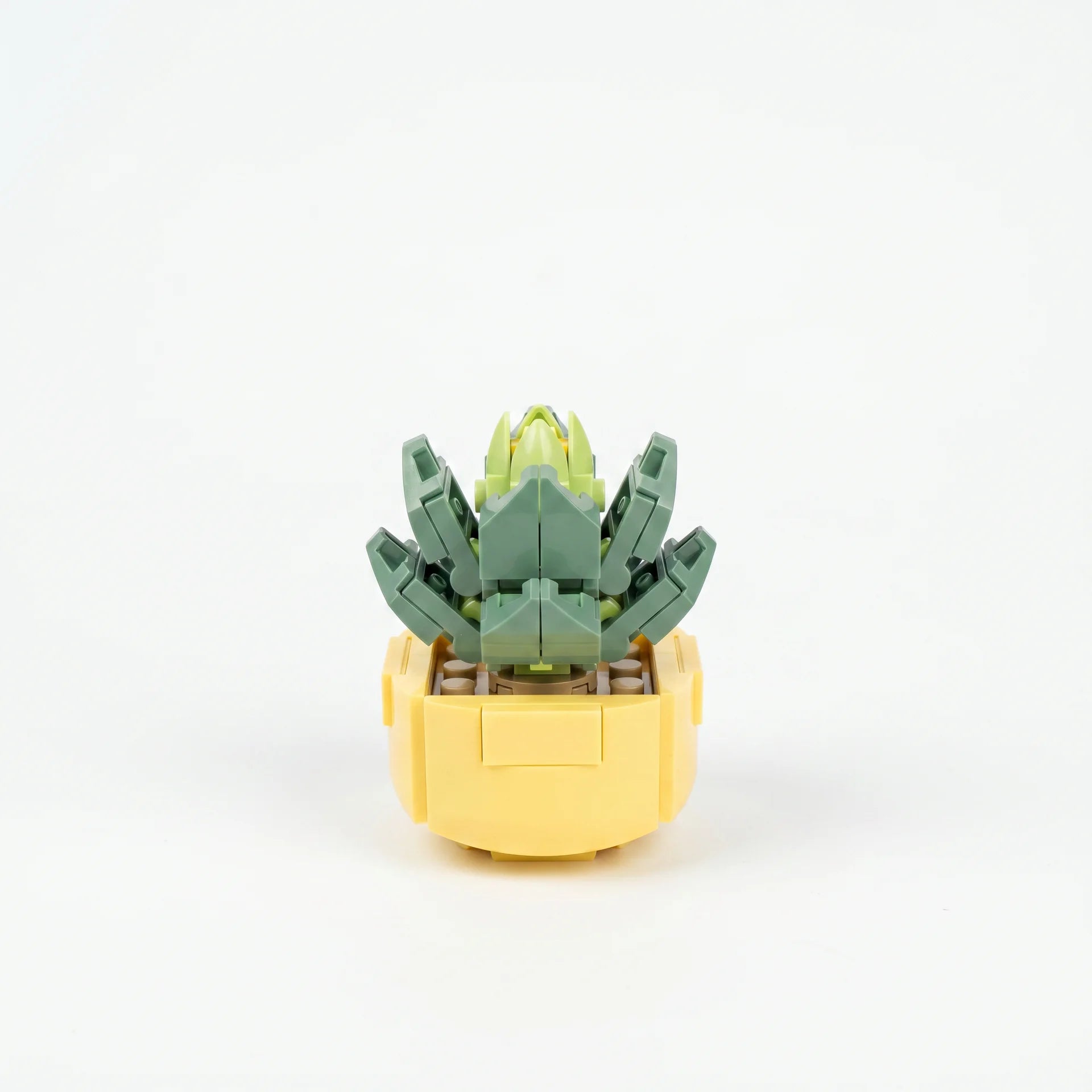 Roses en Briques – Série Flowers Building Block - Librairie Oxford City