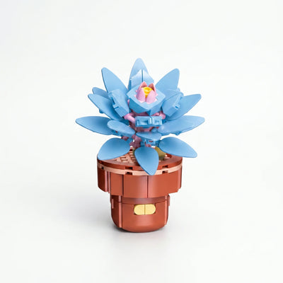 Zuanma Flowers – Mini Botanical Collection (Pot Transformable) - Librairie Oxford City