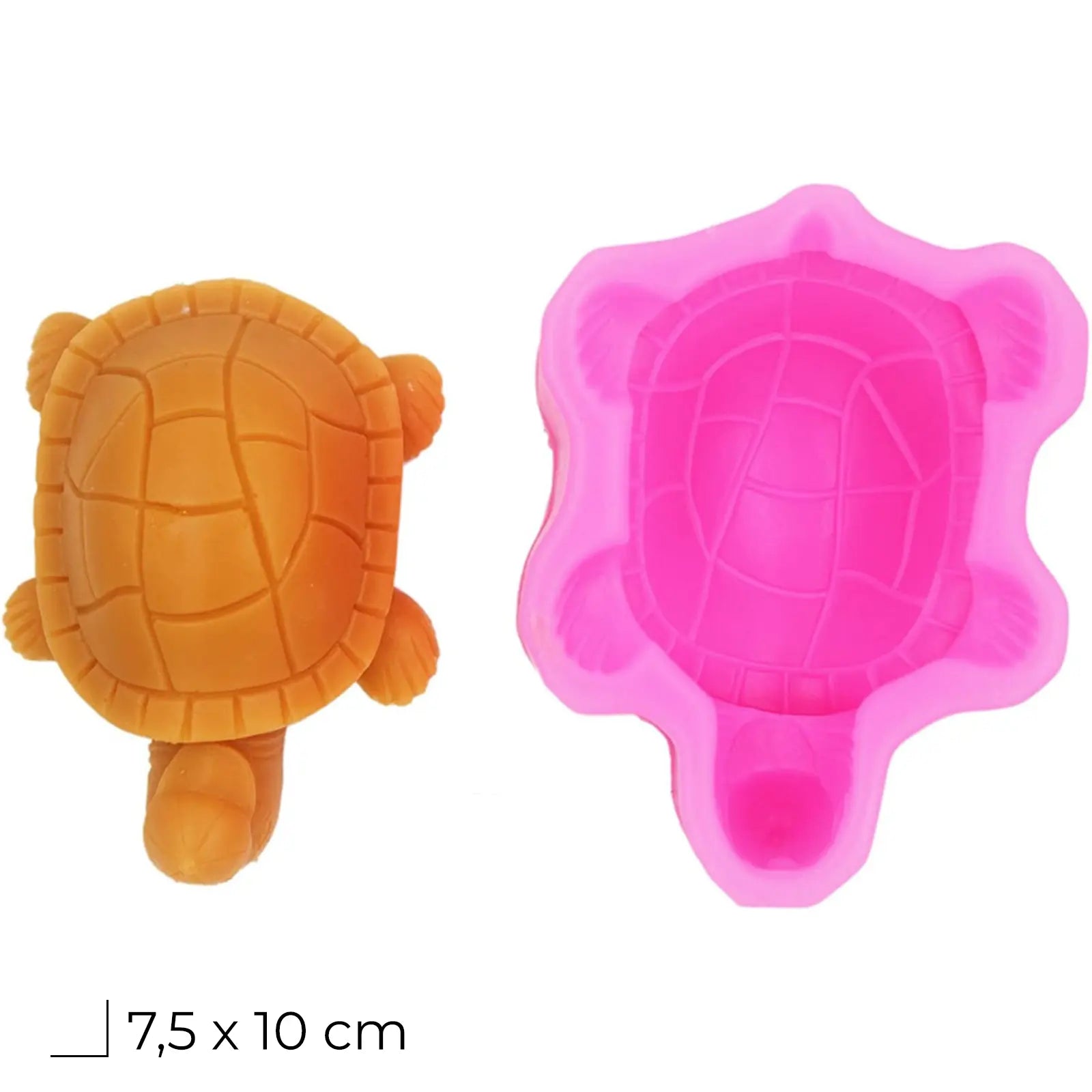 🐢 Moule Silicone Tortue – 7,5 x 10 cm | Pour Résine, Savon, Plâtre ou Cire - Librairie Oxford City