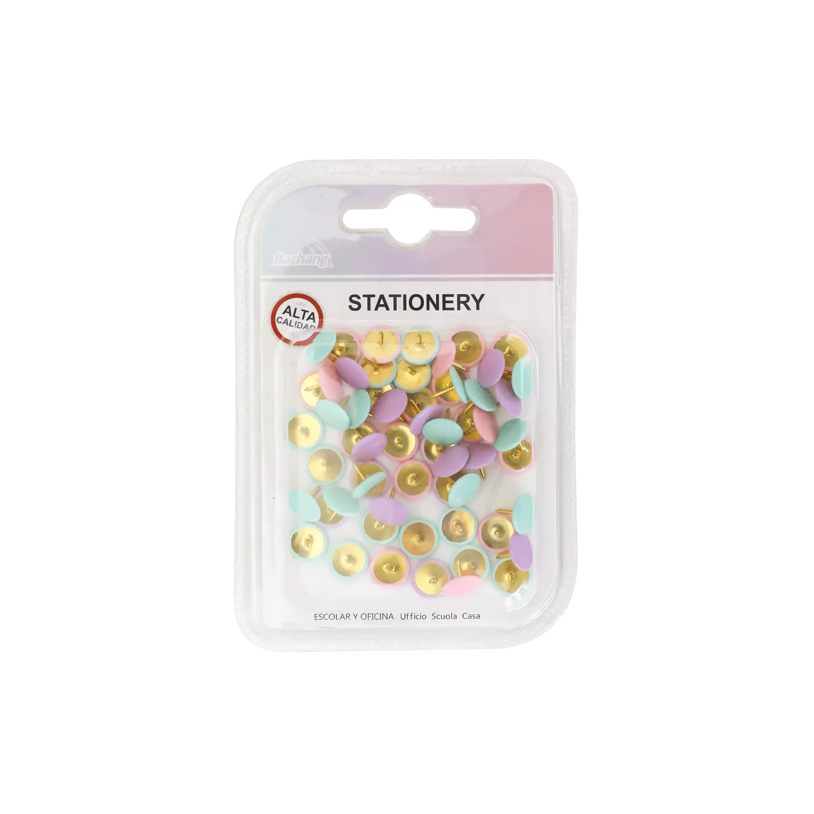 Punaise de Bureau Pastel Bachang – Boîte de 50 - Librairie Oxford City