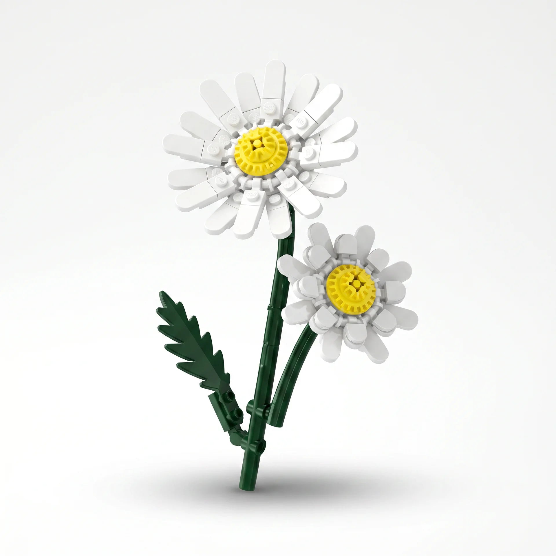 Sembo Block Florist – Collection Fleurs sur Tige - Librairie Oxford City