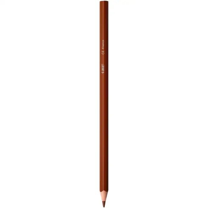 BIC Intensity Crayons de Couleur Triangulaires - Librairie Oxford City