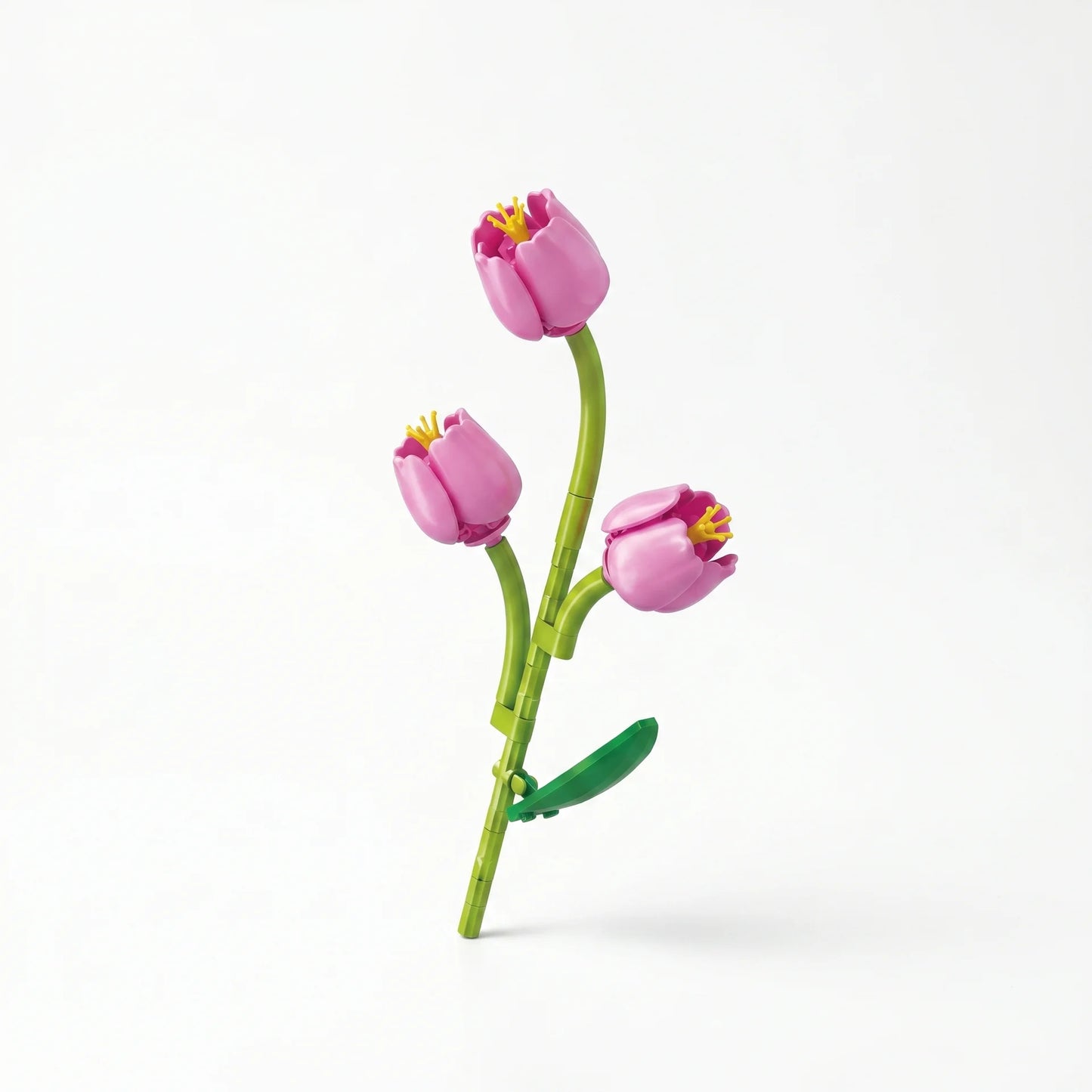 Sembo Block Florist – Collection Fleurs sur Tige - Librairie Oxford City