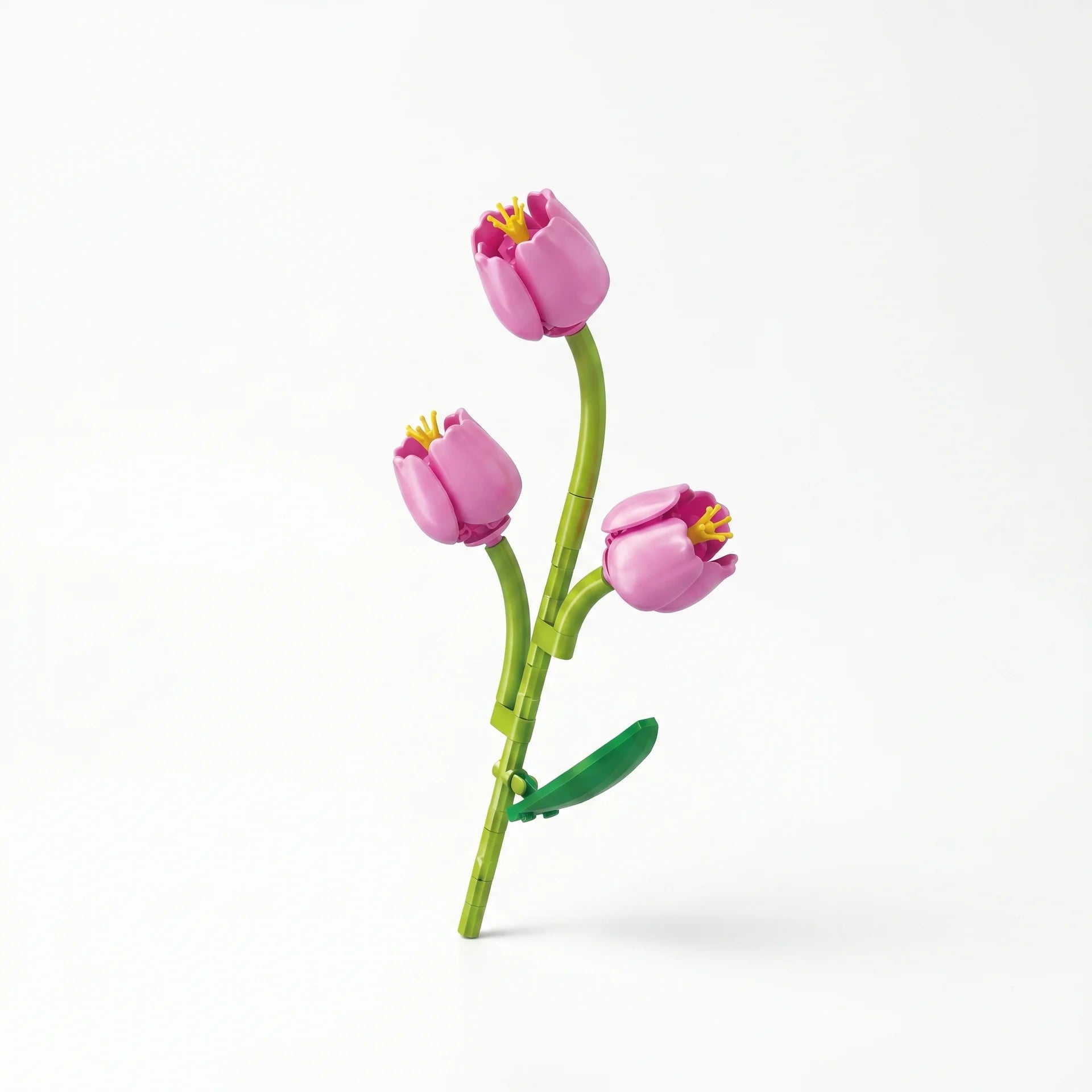 Sembo Block Florist – Collection Fleurs sur Tige - Librairie Oxford City