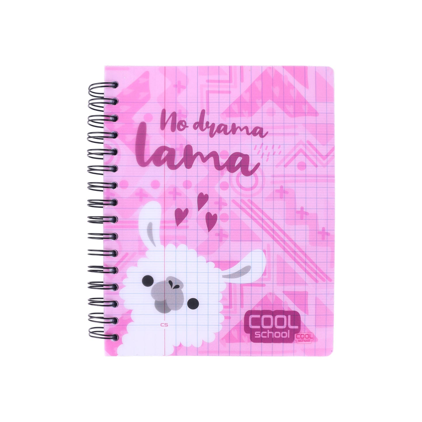 Cool School - Cahier à Spirale 400 Pages - Librairie Oxford City