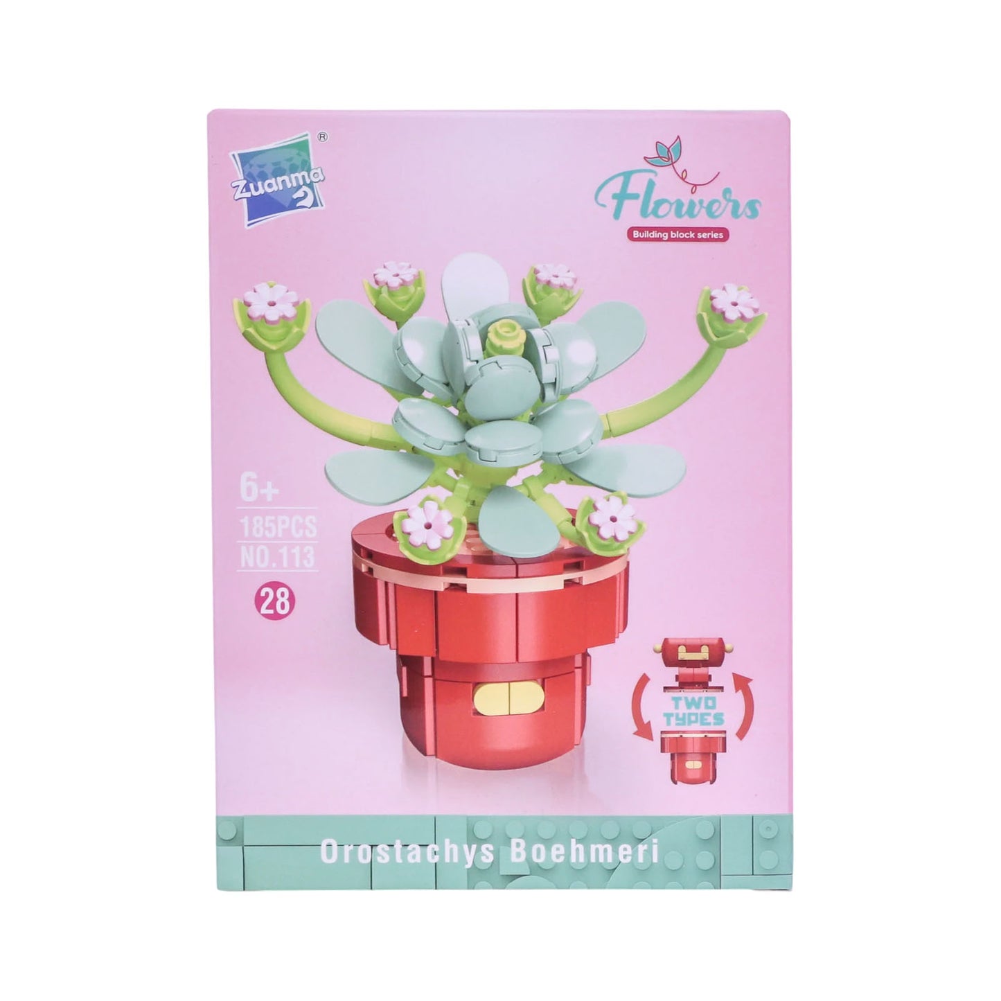 Zuanma Flowers – Mini Botanical Collection (Pot Transformable) - Librairie Oxford City