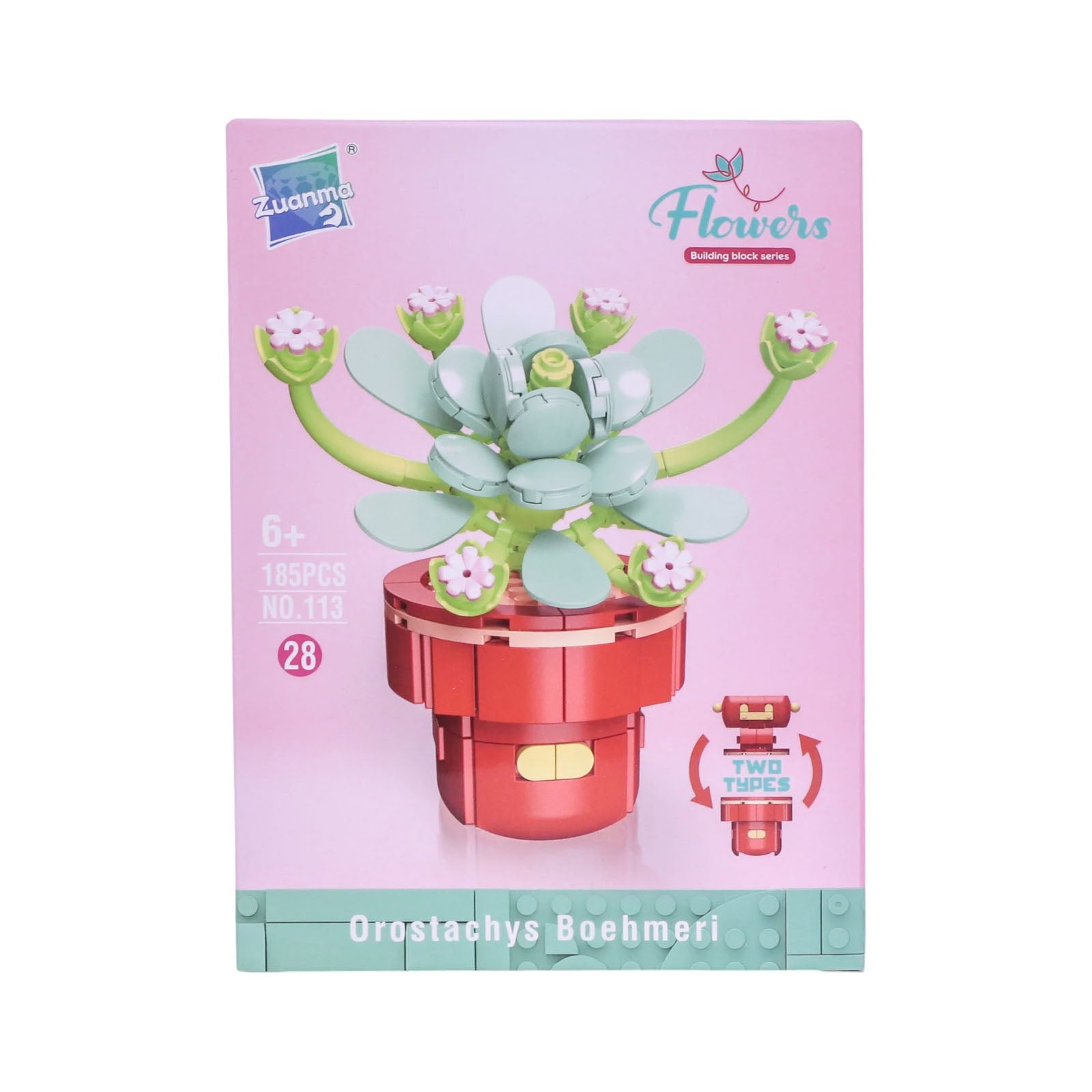 Zuanma Flowers – Mini Botanical Collection (Pot Transformable) - Librairie Oxford City