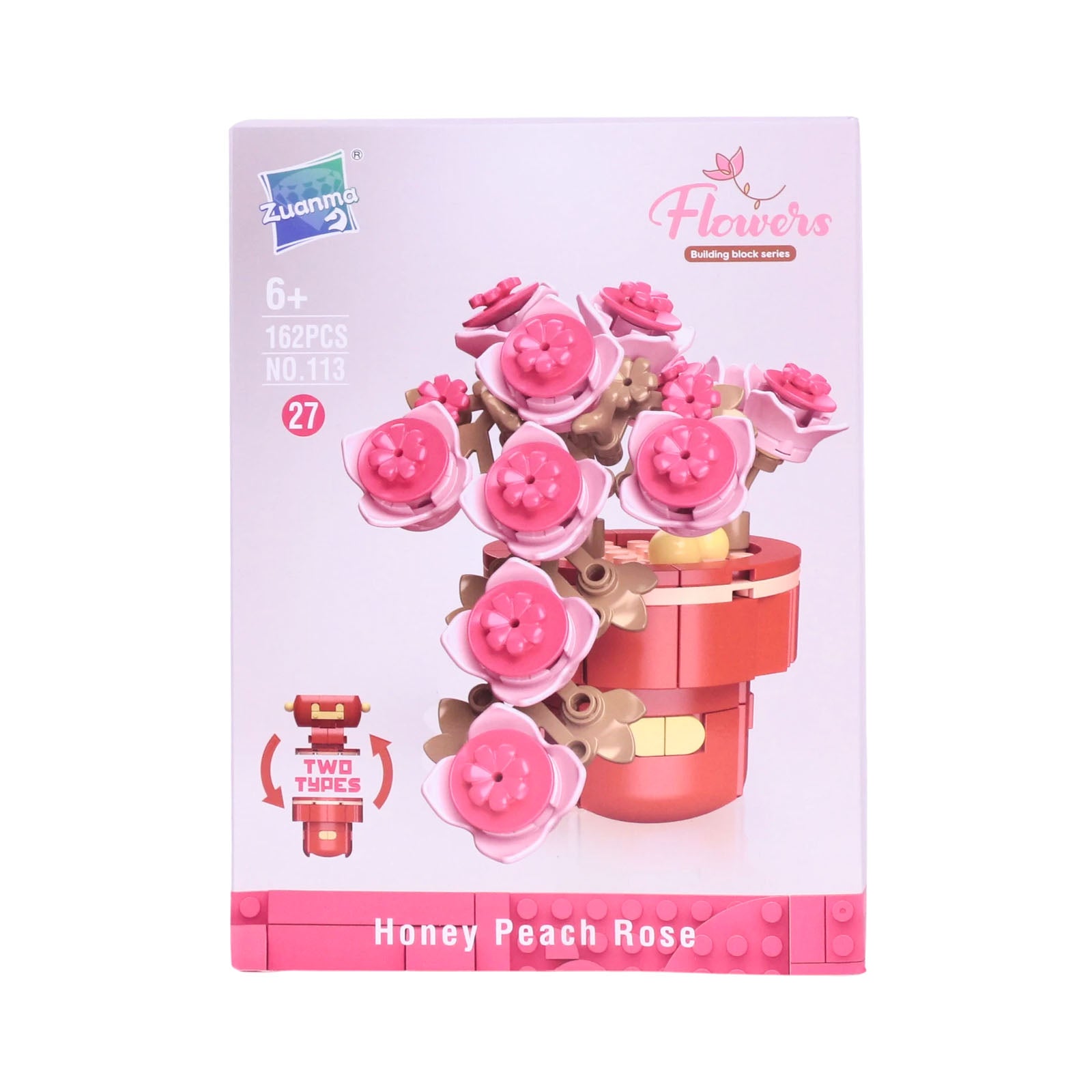 Zuanma Flowers – Mini Botanical Collection (Pot Transformable) - Librairie Oxford City