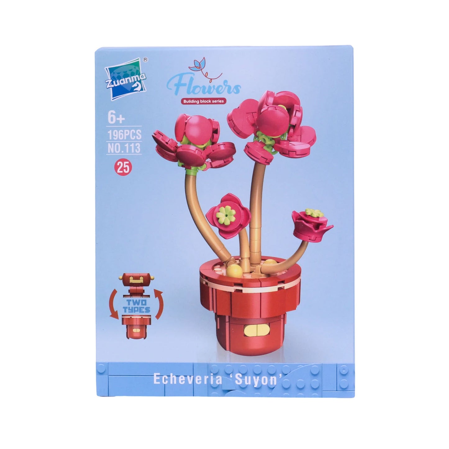Zuanma Flowers – Mini Botanical Collection (Pot Transformable) - Librairie Oxford City