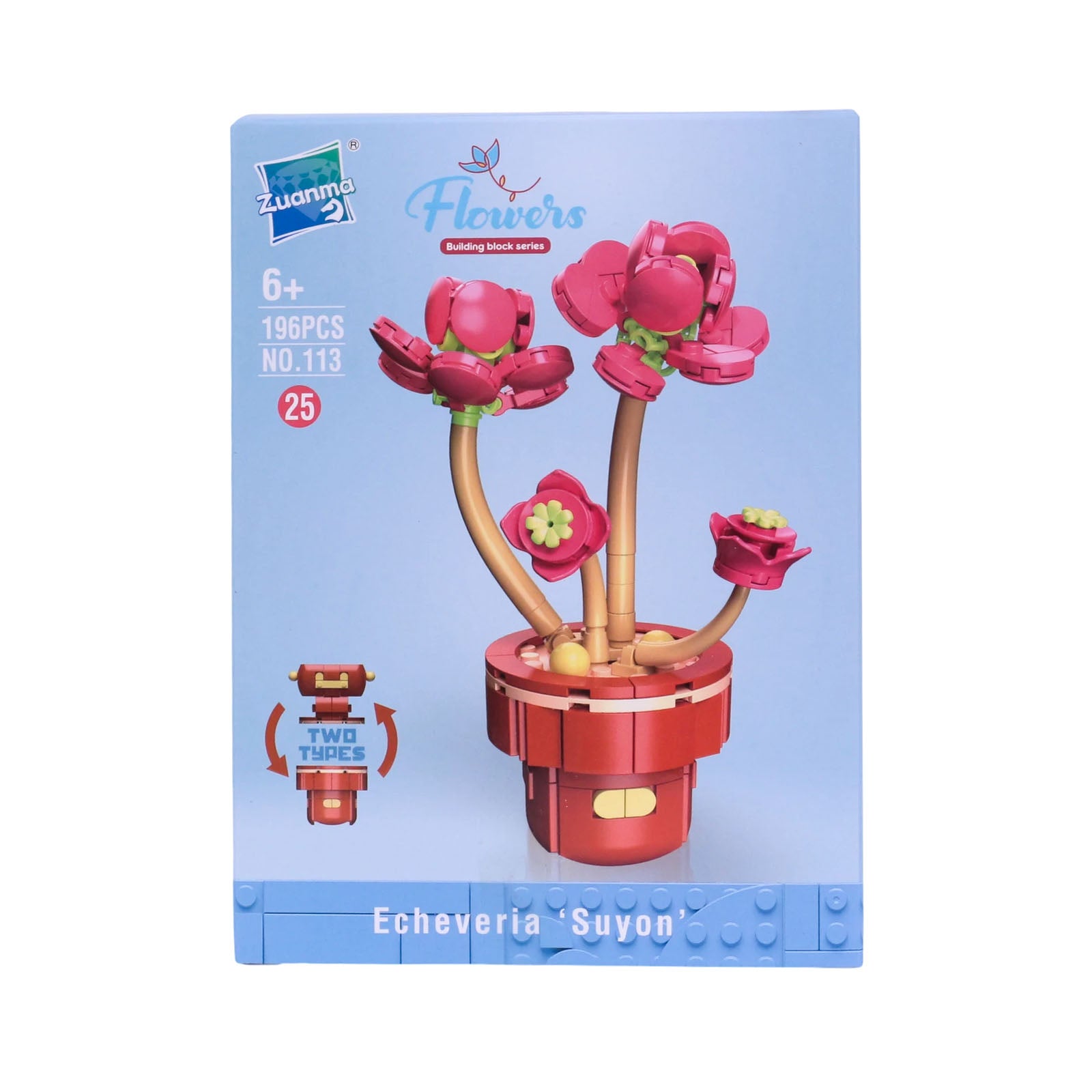 Zuanma Flowers – Mini Botanical Collection (Pot Transformable) - Librairie Oxford City