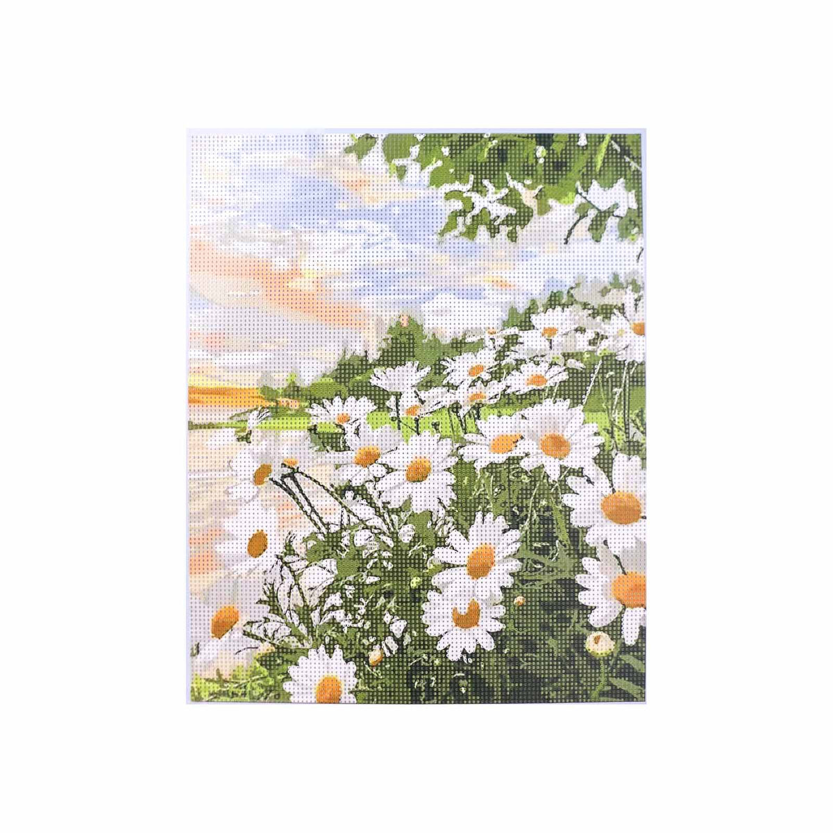 Tableau Diamind 50x40cm