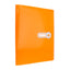 Classeur Viquel ICE 4 Anneaux – 31,5 x 24,5 cm - Librairie Oxford City