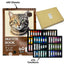 Pack Dessin & Illustration Complet – Sketch A3 + Fusain, Crayons & Pastels (4 Packs au choix) - Librairie Oxford City