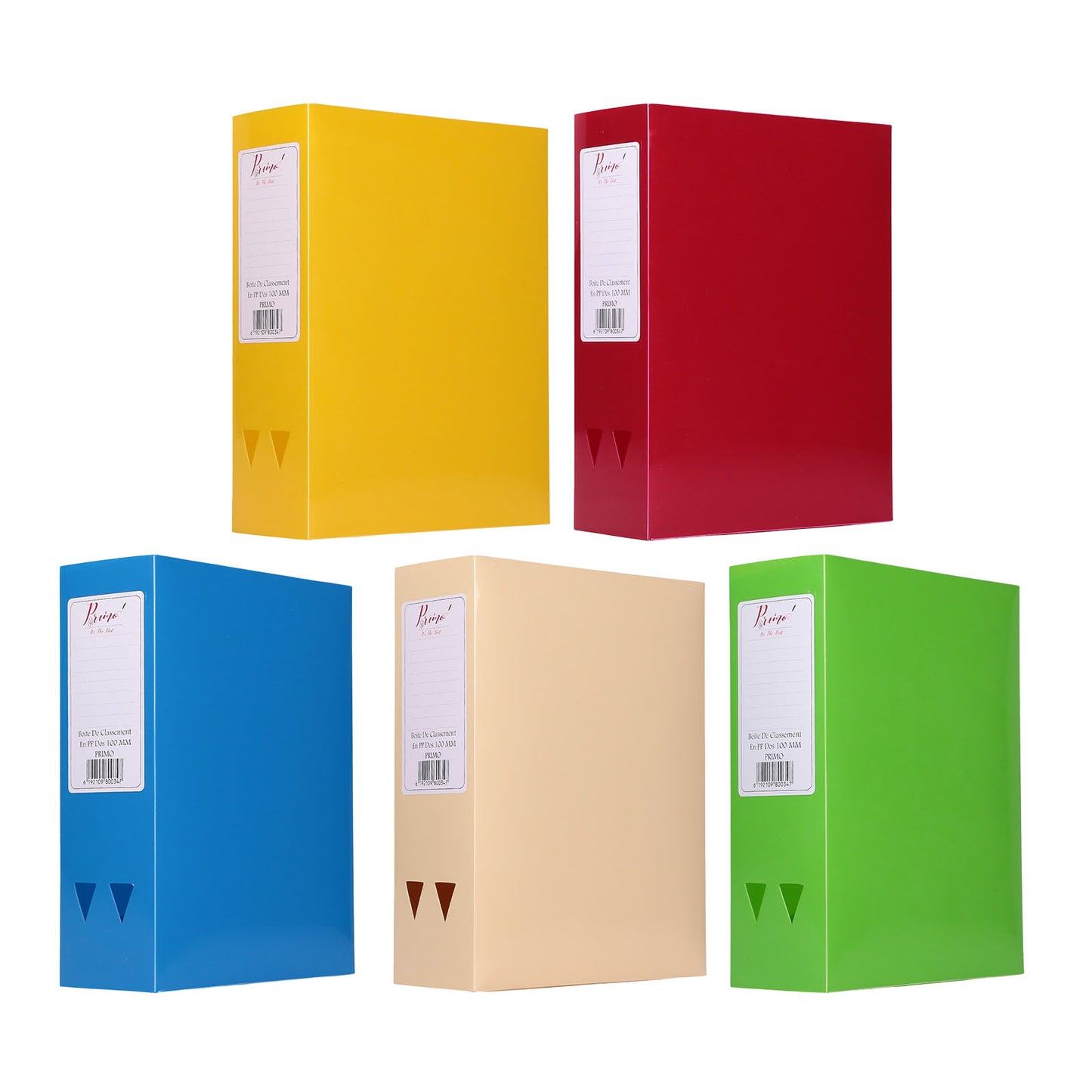 Boîte de Classement PP Primo A4 Dos 100mm – Très Grande Capacité – Coloris Assortis - Librairie Oxford City