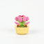 Roses en Briques – Série Flowers Building Block - Librairie Oxford City