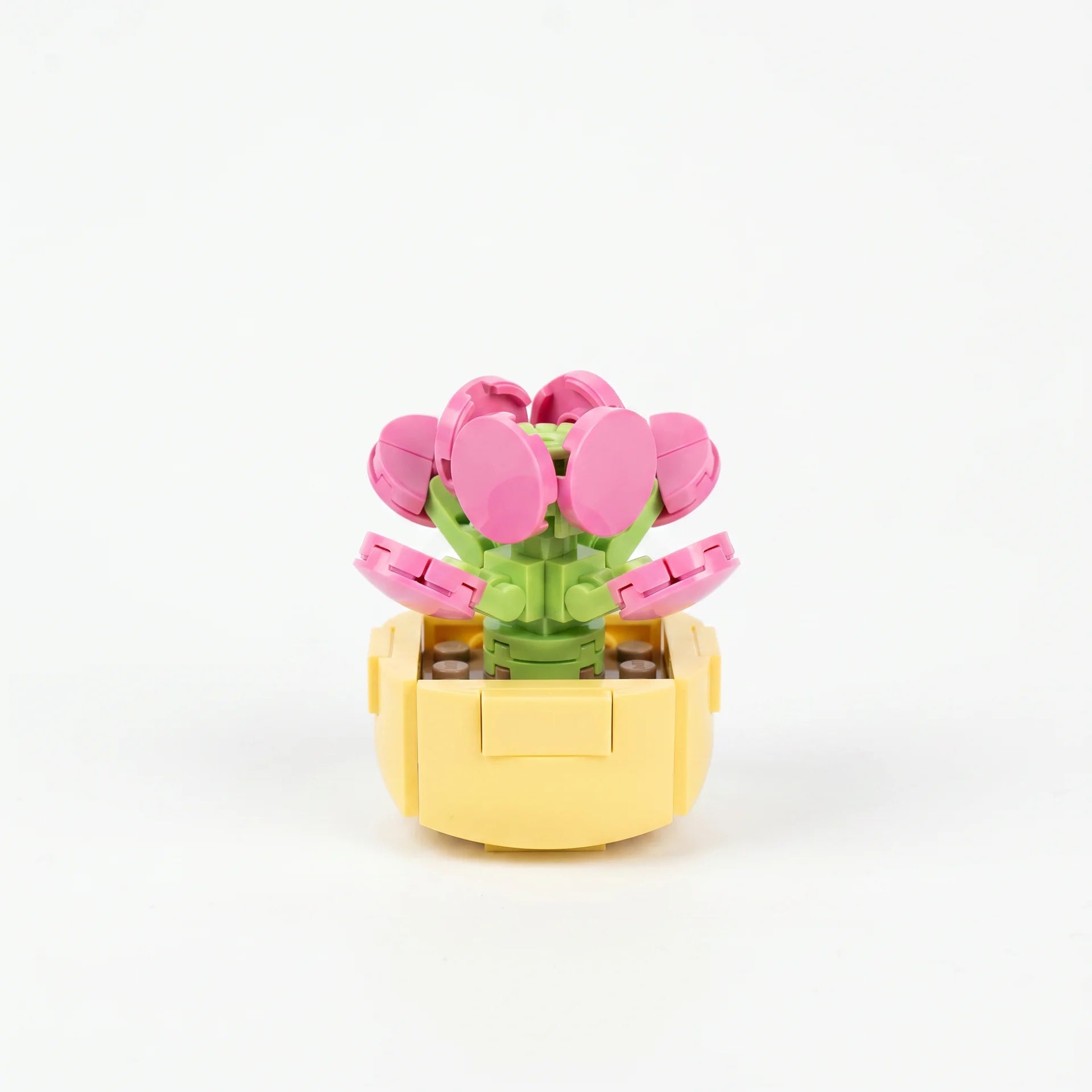 Roses en Briques – Série Flowers Building Block - Librairie Oxford City