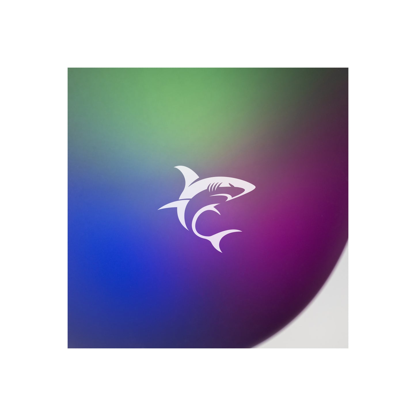 White Shark GH - 2342 Firefly White - Librairie Oxford City