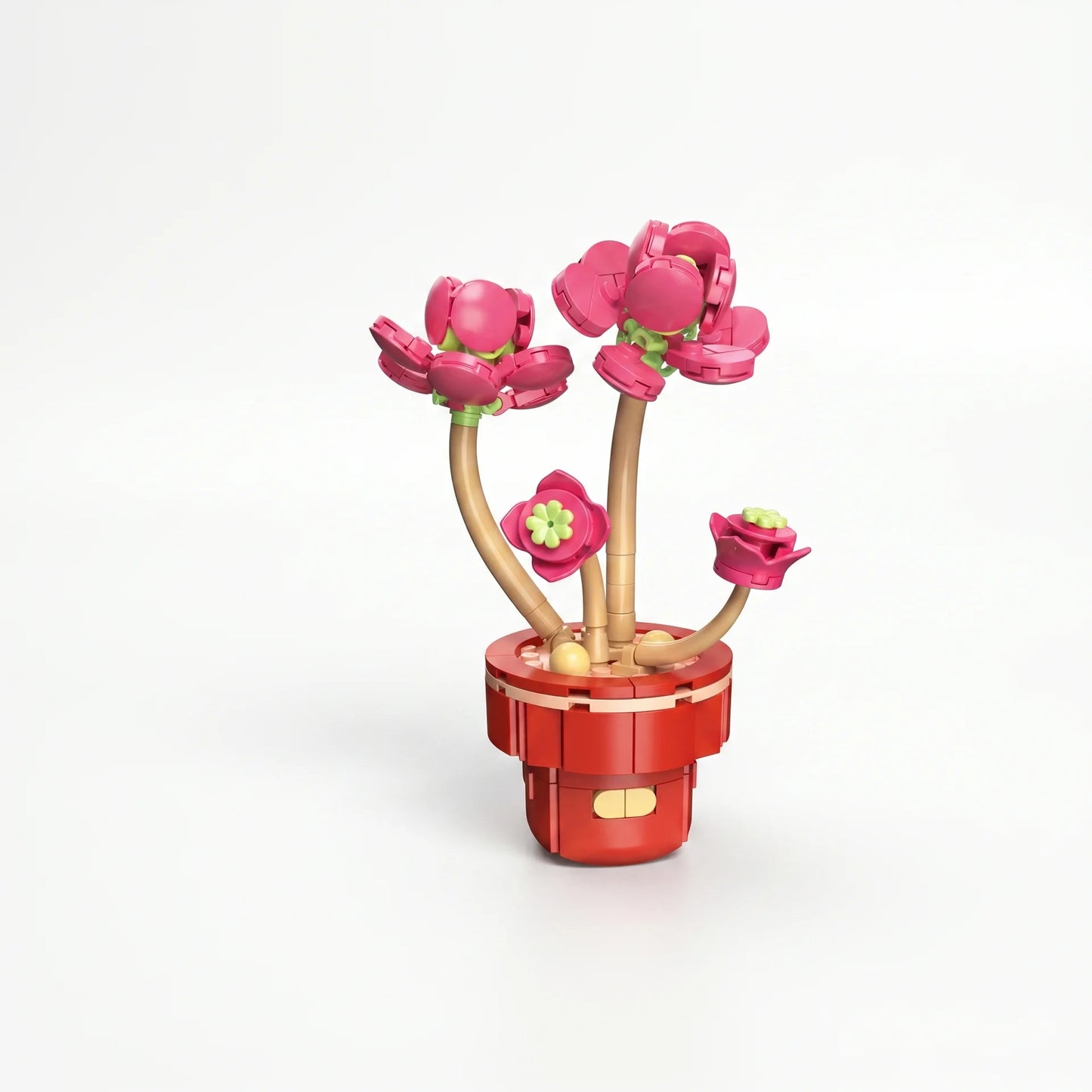 Zuanma Flowers – Mini Botanical Collection (Pot Transformable) - Librairie Oxford City