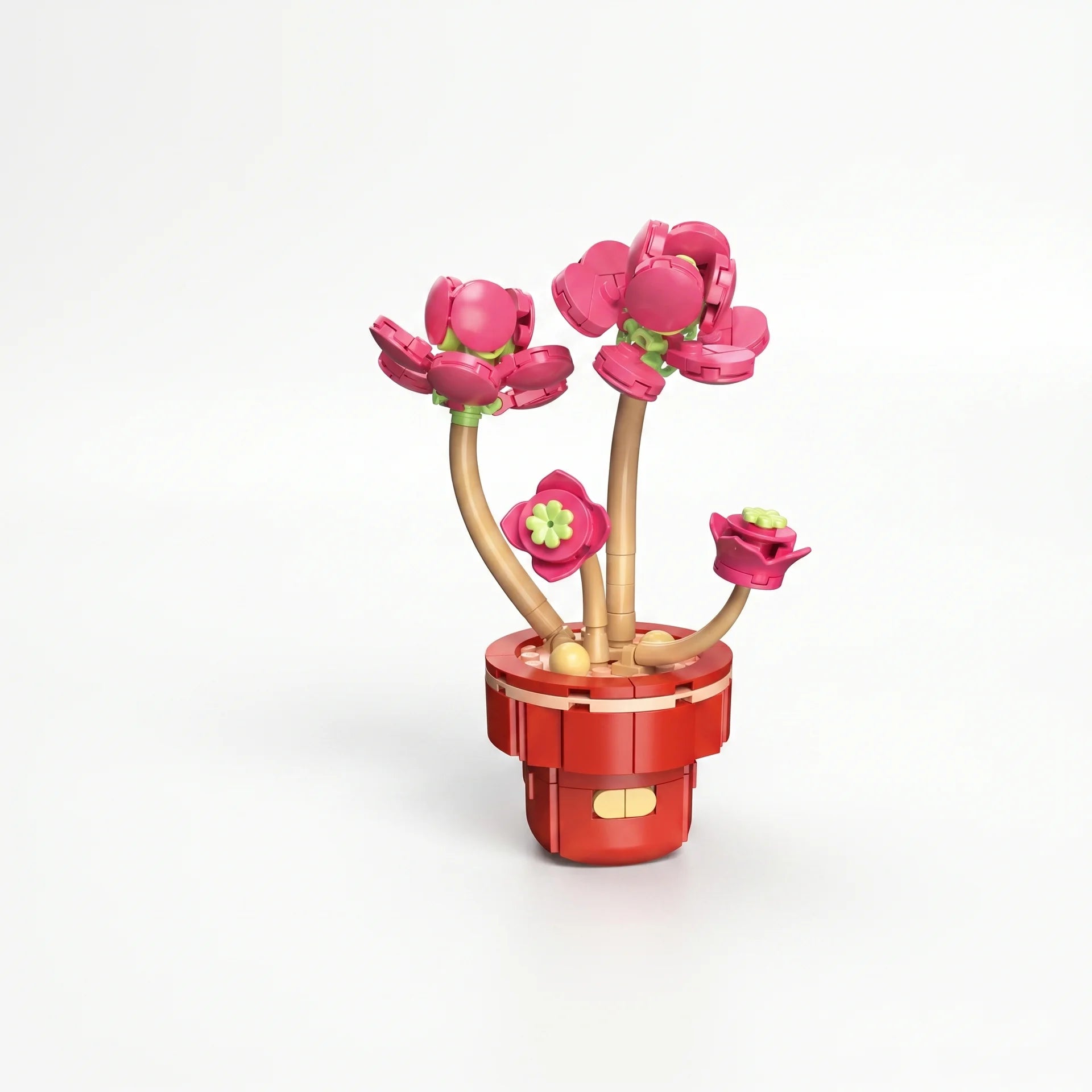 Zuanma Flowers – Mini Botanical Collection (Pot Transformable) - Librairie Oxford City