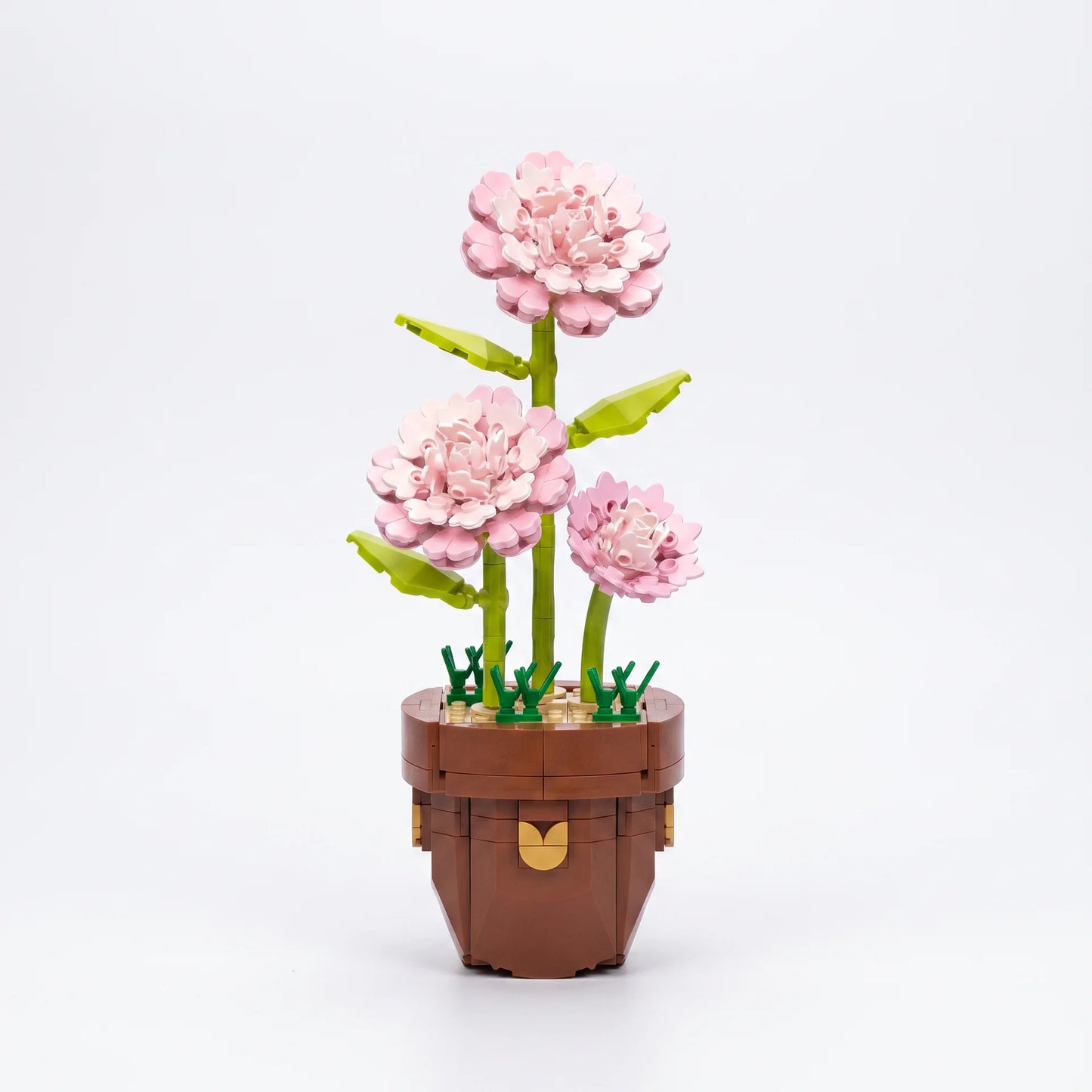 Zuanma Flowers – Botanical Collection - Librairie Oxford City