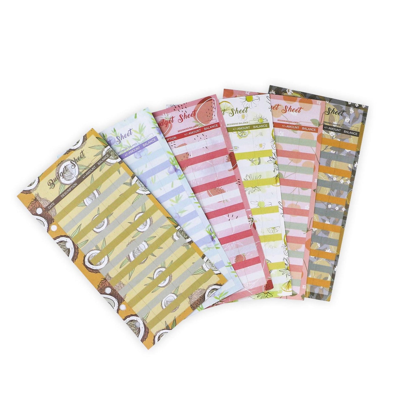 Budget Planner (17x9 cm) - Librairie Oxford City
