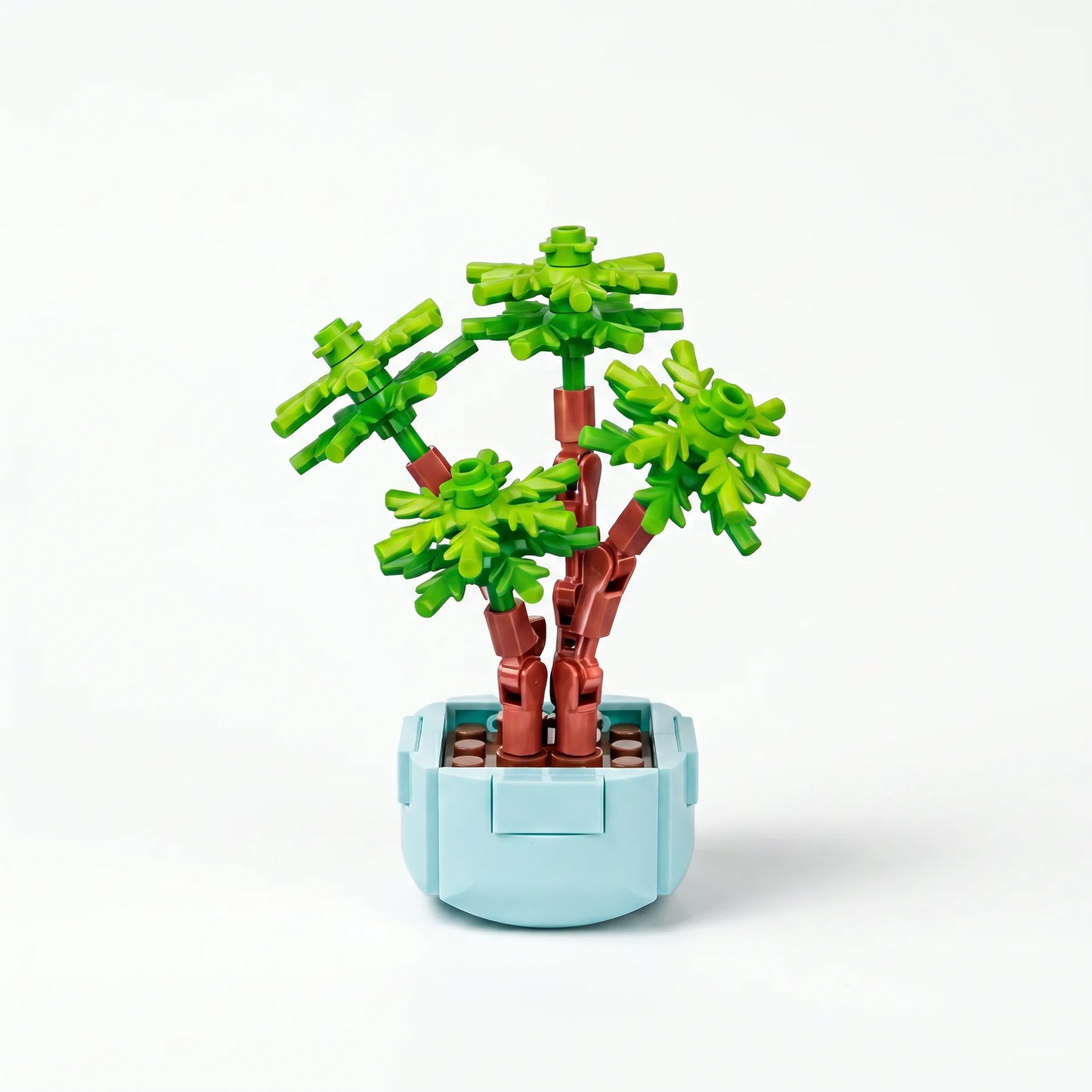 Roses en Briques – Série Flowers Building Block - Librairie Oxford City