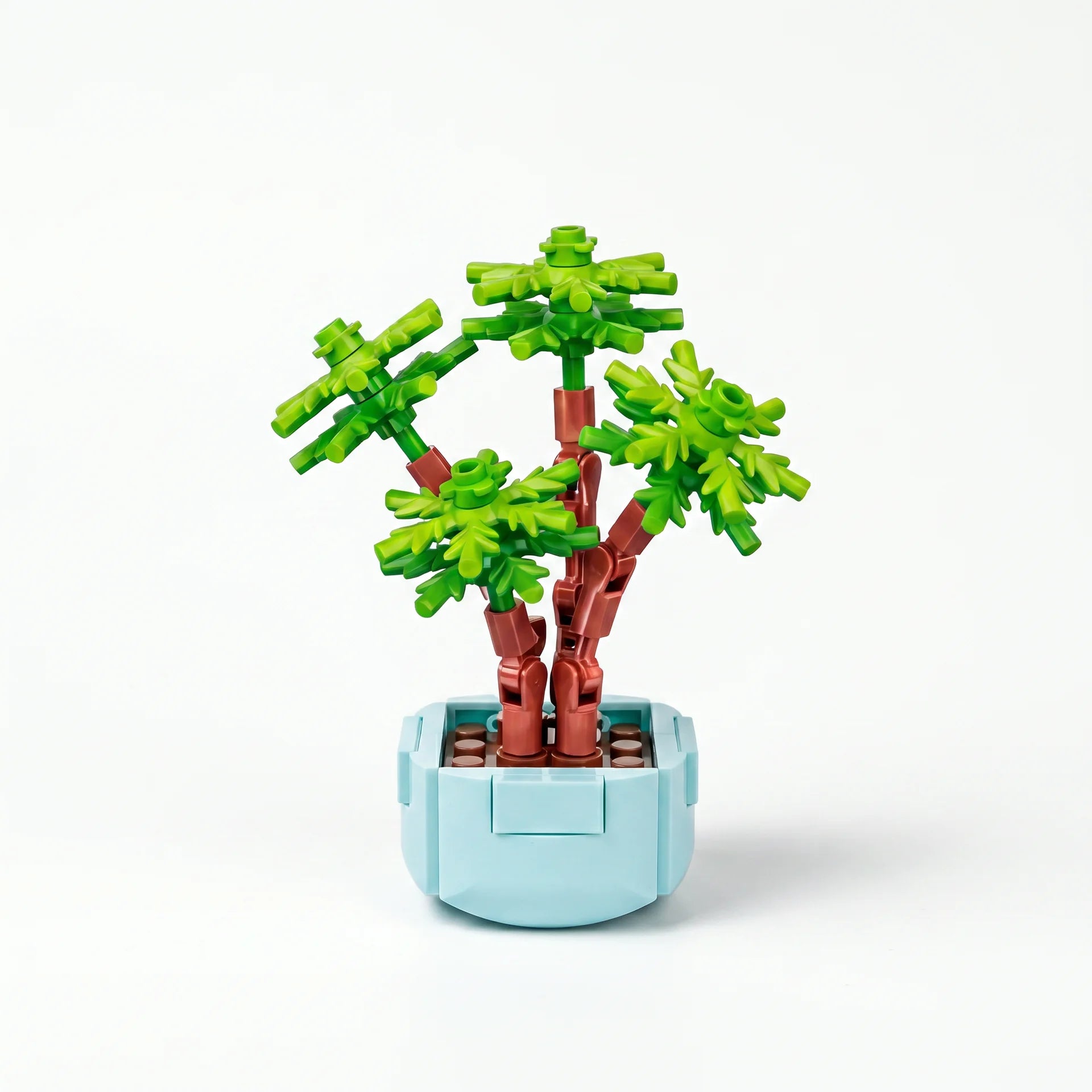 Roses en Briques – Série Flowers Building Block - Librairie Oxford City